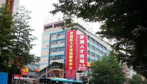 不管英雄草莽,都去过深圳人才大市场