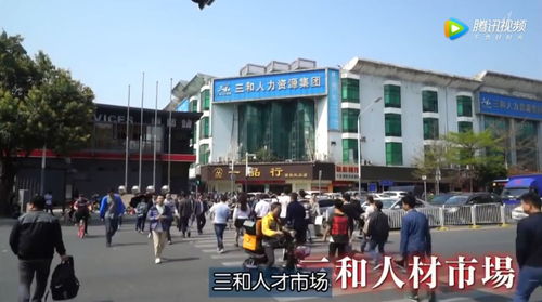 这些不可见光的画面,只能深夜偷看 深圳