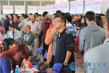 追日人才市场首届校园招聘会精彩回顾