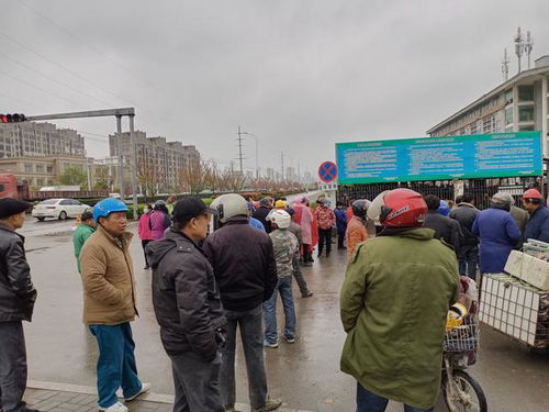 丰县有这样一群人,无论刮风下雨,每天6点多就来到人才市场门口