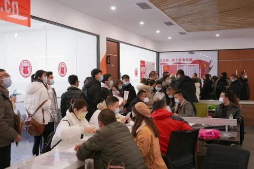 求职者多 好企业多 签约率高 兰州市人才市场迎来招聘旺季