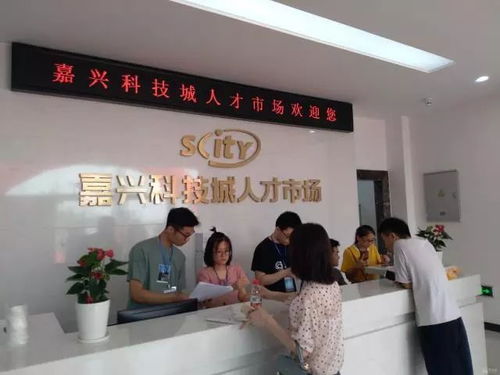 嘉兴首个大学生人才市场开业 找工作的大学生可去看看