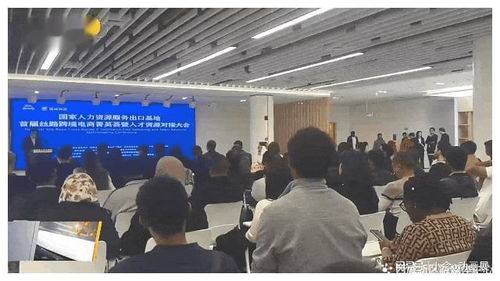 国际人才跨境电商专场招聘会在西咸新区秦创原人才大市场举办