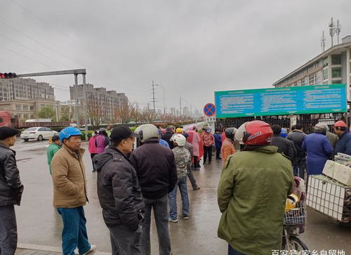 丰县有这样一群人,无论刮风下雨,每天6点多就来到人才市场门口