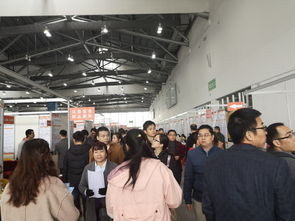 节后就业市场供需两旺,国际人才网2019春季招聘会吸引近2万人进场求职