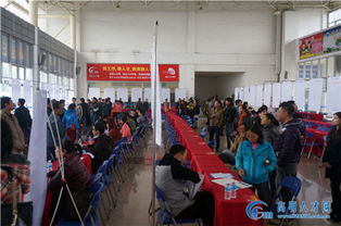 追日人才市场现场招聘会精彩回顾