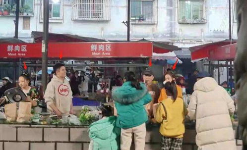 佟丽娅与众艺人到菜场卖桔子,秒变 水果西施 ,笑容甜美气质佳