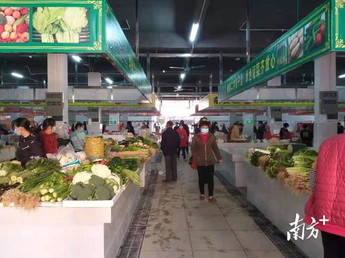 惠城汝湖镇仍图市场换新颜,惠州驻镇帮镇扶村工作添新彩