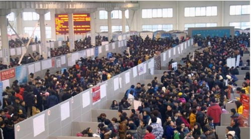 2020应届生就业太难了 还没找到工作的他做了这个选择