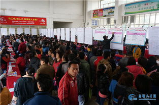 3月4日追日人才市场招聘会精彩现场回顾