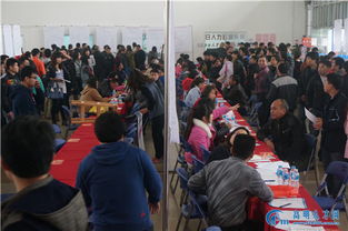 3月14日追日人才市场招聘会精彩现场回顾