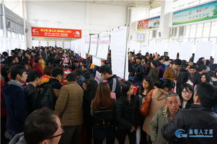 3月4日追日人才市场招聘会精彩现场回顾