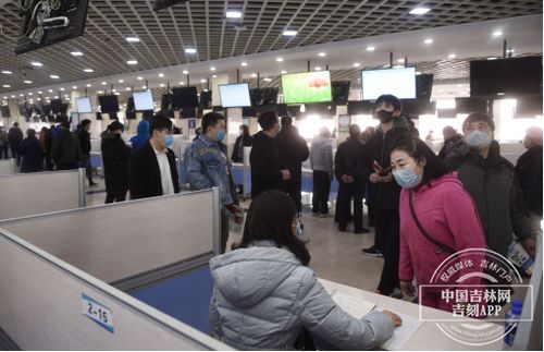 直击现场 长春人才市场12日正式恢复