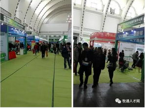 2018东北畜牧业名优产品展,牧通人才网在3号馆等你来撩