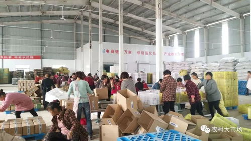 明日剧透 农产品供应链连起小农户和大市场