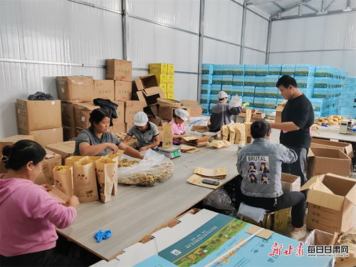 康县 土 味农产品走俏年货市场