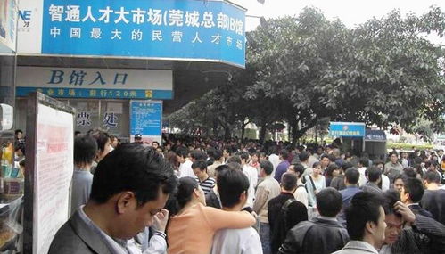 应届大学生,来东莞也能挑战月薪过万