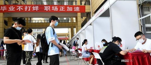 揭开遮羞布, 211高校计算机毕业生就业引关注, 本科生仅42人就业