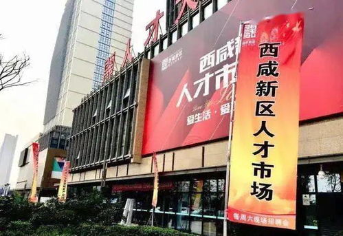 全力以赴稳就业系列访谈 八 后疫情时代就业新常态,您了解了没