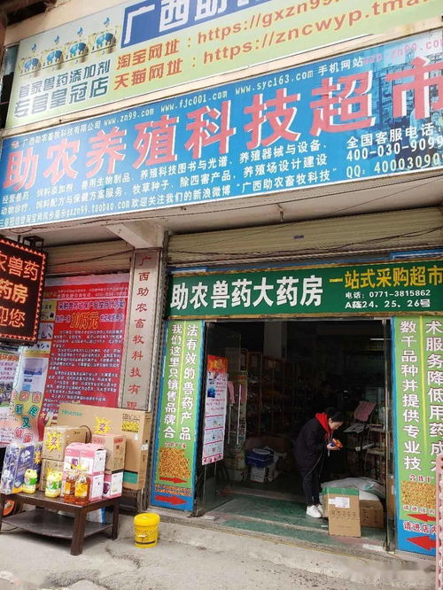产康 30 林可霉素注射液 母猪产前产后效果非常好的保健药品