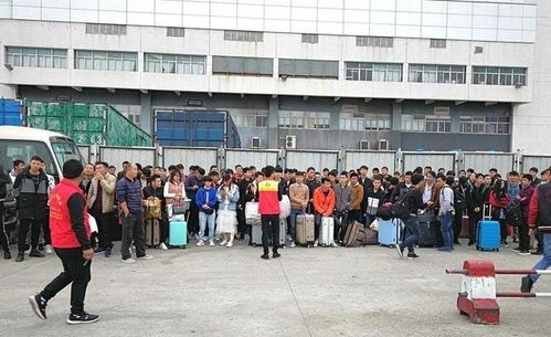 这位女秘书 税前年薪已高达850万,被称为金牌董秘