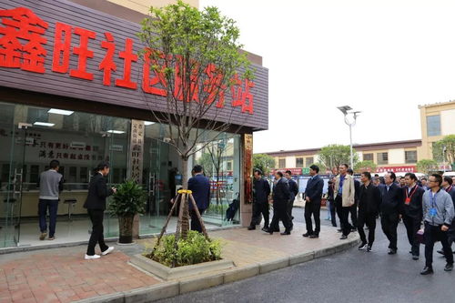 聚焦发展，赋能未来——安顺普定县鑫旺大市场、富民新天地与绥宁人才市场协同助力区域经济