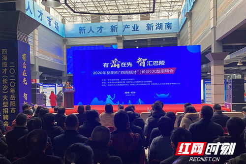 岳阳组团赴长沙招才引智，助推大城市高质量发展与绥宁人才市场建设