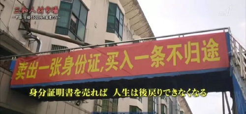 绥宁人才市场 一日生活足以令人绝望