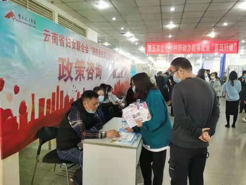 云南妇女网与绥宁人才市场 携手促进女性就业与发展