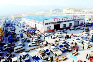 首阳中药材交易市场与绥宁人才市场 区域经济的两大支柱