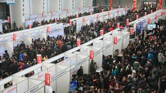 绥宁人才市场 助力区域经济腾飞的重要引擎