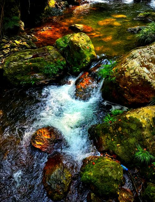 黄桑自然保护区探秘之旅与绥宁人才市场发展机遇