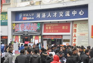 重要通知 洛阳绥宁人才市场下周迎来大型招聘活动